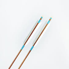 EASTONウッドカーボン矢＜近的＞