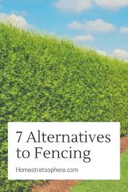 Before talking about fences alternatives, we would like to simply introduce fences first. Want Privacy But Don T Want A Fence You Don T Have To Have A Fence There Are Several Good Alternatives Fences Alternative Natural Fence Privacy Landscaping