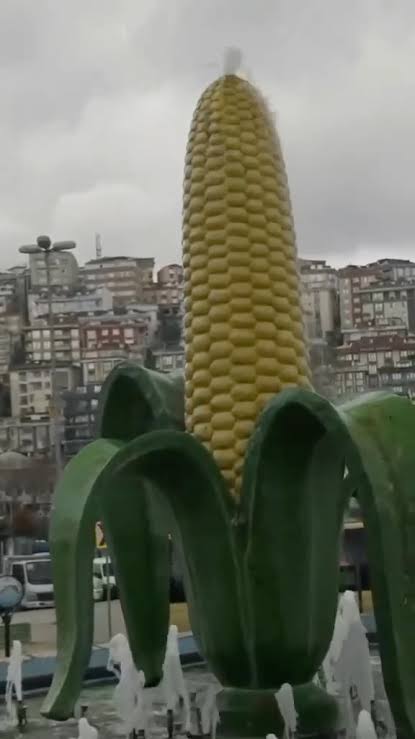 images?q=tbn:ANd9GcRCFPCOSQ80SLfM35RiZuL