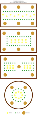 Planting A Three Sisters Garden Garden Betty Three Sisters Garden Layout Companion Planting