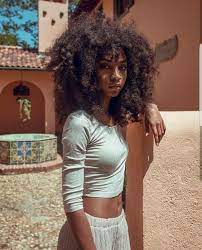 Curly Hair Natural Hair Styles Natural Hair Natural Hairstyles Hair Inspiration Black Women Black Girl Natural Hair Styles Natural Hair Types Hair Styles