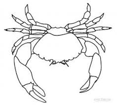 Spider Crab Coloring Pages Animal Coloring Pages Coloring Pages Cartoon Coloring Pages
