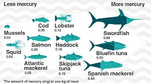 51 True Mercury In Fish Chart