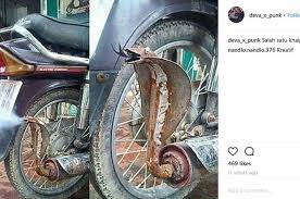 Livery pink honda astrea tersebut juga dilengkapi dengan tokoh kartun hello kitty. Honda Astrea Prima Mendadak Bikin Geger Lihat Knalpotnya Bikin Orang Kabur Motorplus Online Com