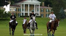 Summer Polo Matches