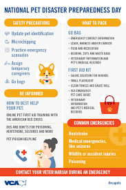 Woof contact management tool apk is a tools apps on android. Vca Mueller Pet Medical Center Accueil Facebook