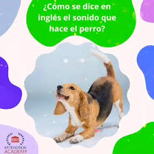 Sabes Como Se Dice En Ingles El Artemotion Academy