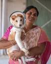 Staff – Stray Animal Foundation India