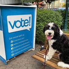 Sheepadoodles are a cross between the old english sheepdog (oes) and a poodle. 330 Sheepadoodles By Design Ideas Design Sheepadoodle Panda Dog