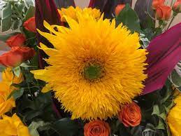 教會插花服侍 2019年12月08日主題 living hope flowers plants