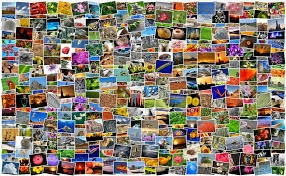 We did not find results for: Photo Collage Wall Murals No More Costly Printing Framing Wallbeard