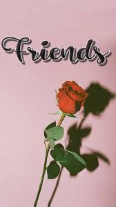 While under the impression that husbands and male doctors were acting with their best interests in mind, women were depicted as mentally weak and fragile. Best Friends Wallpaper Enwallpaper