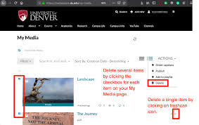 Kaltura How To Delete Media Files Du Ed Tech Knowledge Base