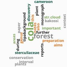 Image result for Memecylon afroschismaticum