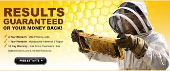 Find bee hive removal today! 1 Bee Removal San Diego Ca Pro Pacific Bee Removal