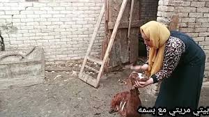 We did not find results for: ØªØ­Ù…ÙŠÙ„ Ù†Ø³Ø§Ø¡ ØªØ°Ø¨Ø­ Ø§Ù„Ø­ÙŠÙˆØ§Ù†Ø§Øª