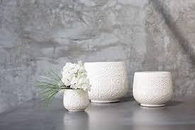Amazon.com : Francis Ceramic Pots for Plant (*****) Modern Pot ...