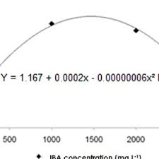 Image result for Dovyalis hispidula