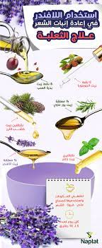 علاج الثعلبة باللافندر lavender oil to help treat alopecia pretty skin care treat alopecia lavender oil