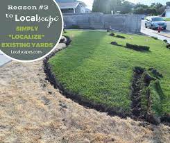 Homeowners Are Often Overwhelmed About How To Change An Existing Landscape Especially When Water Wise Front Yard Sustainable Landscaping Waterwise Landscaping