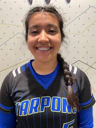 ALL-AREA SOFTBALL: Gaudy numbers highlight area softball