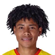 Angelo Javier Mina Jara