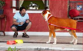 Golmaal 3 Official Movie Posters And Stills Xcitefun Net First of all, the performances by ajay devgan, kareena kapoor, tusshar kapoor and mithun chakraborty are all good. golmaal 3 official movie posters and