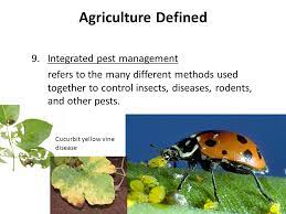 Probably, our greatest shares of pest problems are encountered in agriculture and. The Science Of Living Things Agriculture Defined Ppt Download