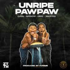 Download Music Mp3 Zlatan Unripe Pawpaw 9jaflaver