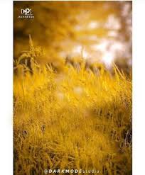 Latest Background For Photo Editing Picsart Photo Editing Blur Background Photography Simple Background Images Blur Background In Photoshop