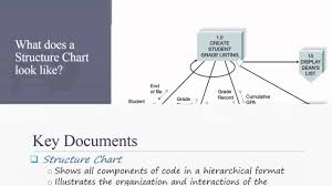 Systems Analysis Design Ch 10 Program Design