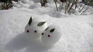 Snow Rabbits called Yukiusagi are made in Japan