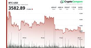 Shroudx cook kyanite unoswap leverj hype ardcoin 3x short compound usdt token bitflate ans crypto coin qureno blockchain quotations index token. Cryptocompare Cryptoslate