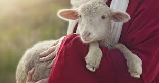 Check spelling or type a new query. Behold The Lamb Of God Verse Meaning And Significance Of Jesus Title
