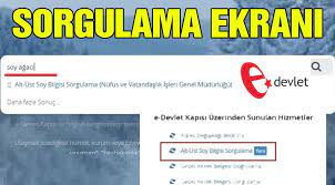 E Devlet Soyagaci Sorgulama Islemi Son Dakika Haberleri