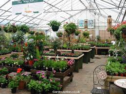Plant Nursery Centers Littlehurst Nurseries Garden Centre Garden Center Garden Center Displays Garden Layout