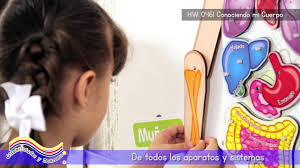 ¡jugar y aprender al mismo tiempo es posible!. Material Didactico Para Preescolar Y Educacion Inicial