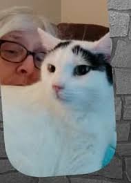 Lost black cat near Bonney Lake High School