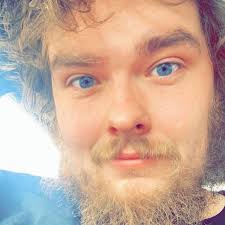 Anyone using STEK window film? What's your thought?