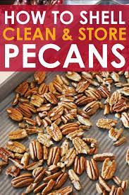 Pecans are used as a crusty coating for fish and chicken, toasted and scattered on leafy, green salads or simply eaten. How To Safely Clean And Store Backyard Pecans