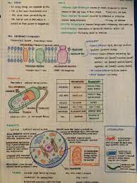 Borrowed A Friend S Mcat Notes Science Notes Biology Notes Mcat Study