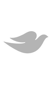 Dove Logo Website Design Company Website Design Design Company