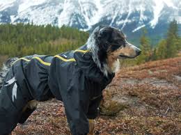 Hurtta Slush Combat Suit Dogs That Hike