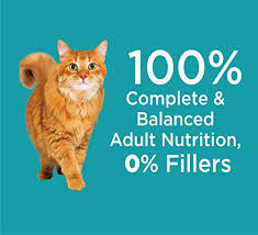 How do i know i can trust these reviews about iams cat food? Iams Proactive Health Adult Indoor Weight Control Hairball Control Dry Cat Food With Chicken Turkey 3 5 Lb Bag Storepaperoomates Shop Cheapest Online Shop In Africa