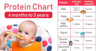 The amount of protein that the human body requires daily is dependent on many conditions including overall energy intake, growth of the individual, and physical activity level. How Much Protein Requirement Per Day Does Your Child Need 6 Months To 3 Years