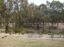 Felltimber Birralea Park Loop Park Outdoor Decor Wodonga