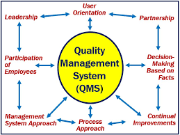 Learn more about what quality management is, the history of quality management and the essential components, principles and standardized set of rules that make up quality management systems. What Is Qms Or Quality Management System Definition And Examples