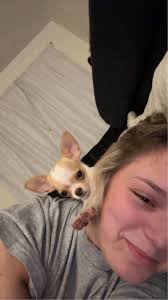 Any tips for a first time apple head chinchilla owner?