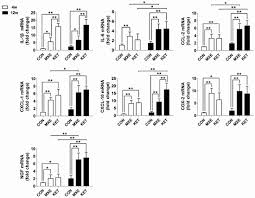 Image result for Methoxetamine