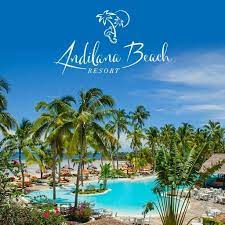 Check spelling or type a new query. Andilana Resort Andilana Resort Twitter